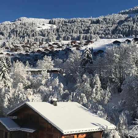 Au Bois De Lune Châtel Exteriör bild