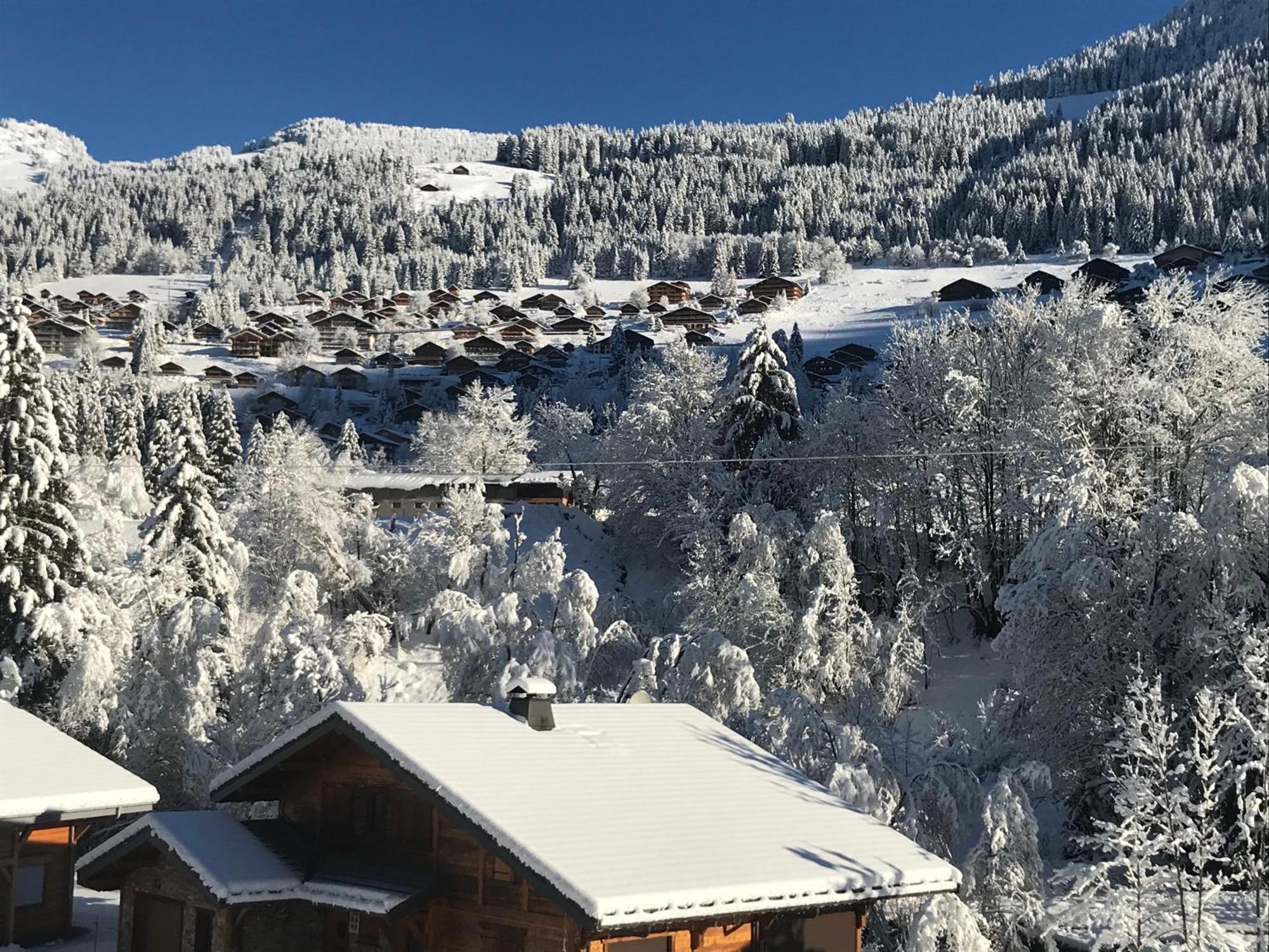 Au Bois De Lune Châtel Exteriör bild
