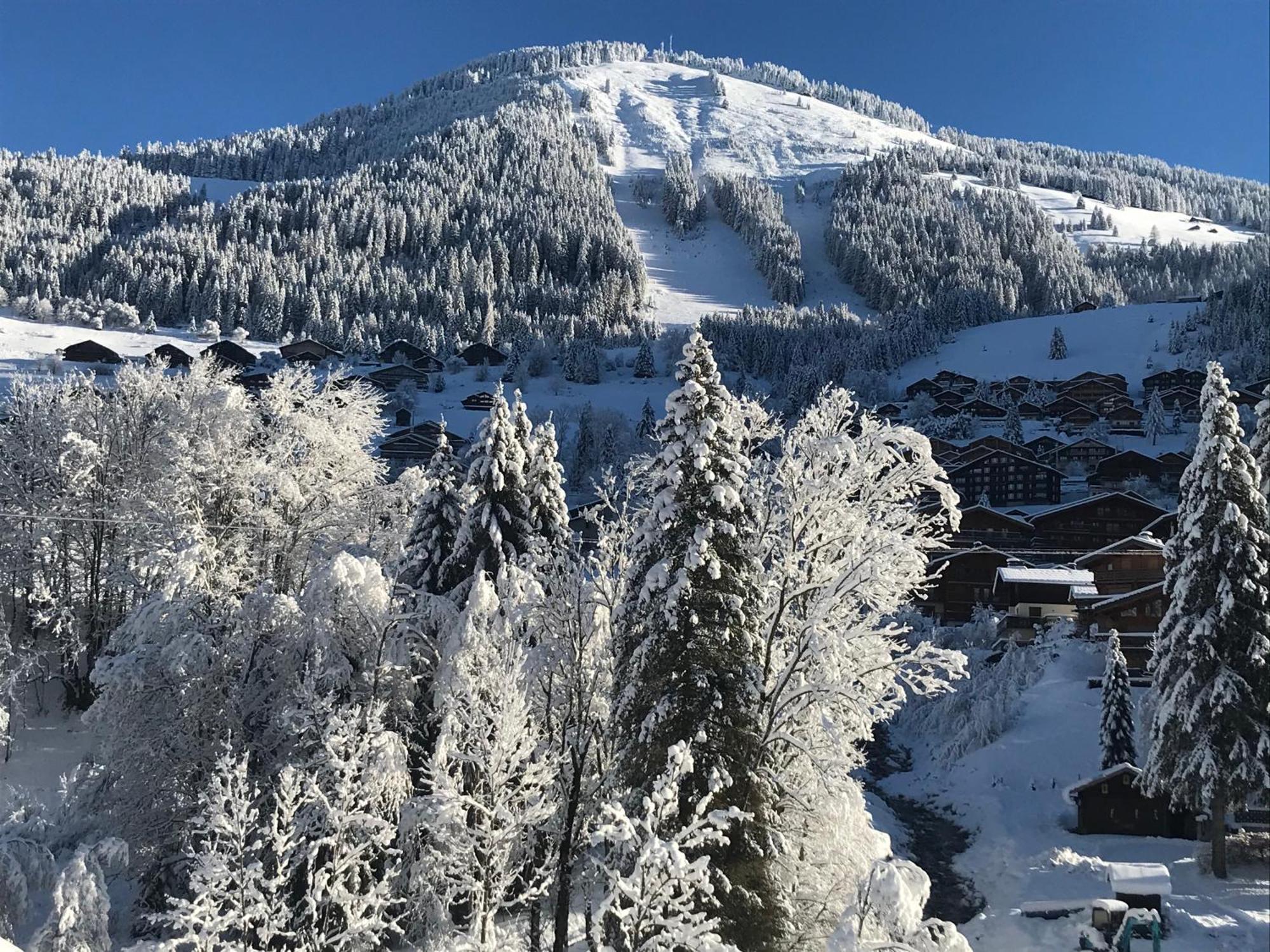 Au Bois De Lune Châtel Exteriör bild