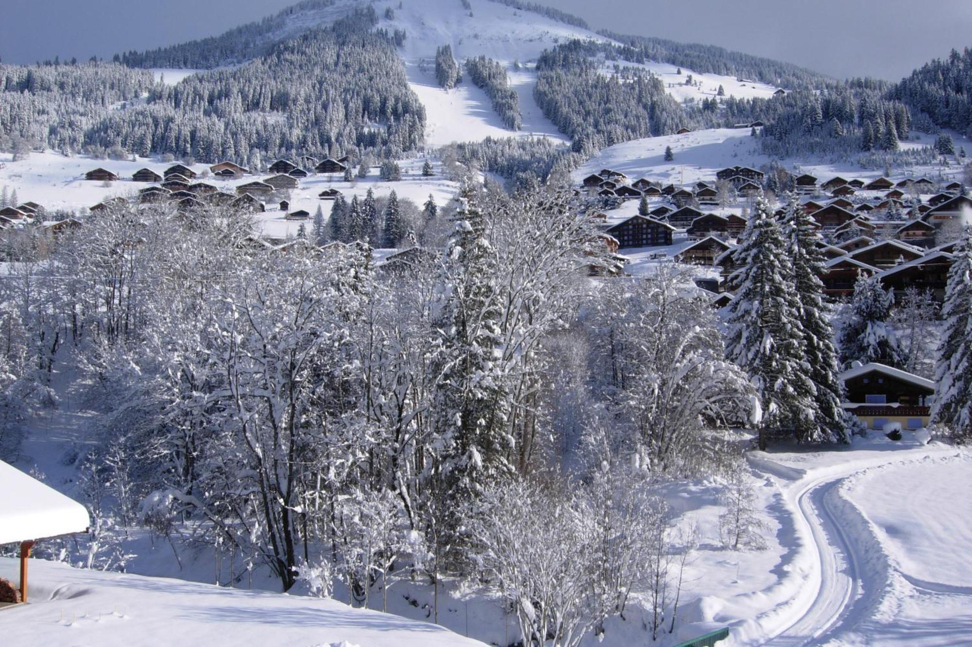 Au Bois De Lune Châtel Exteriör bild