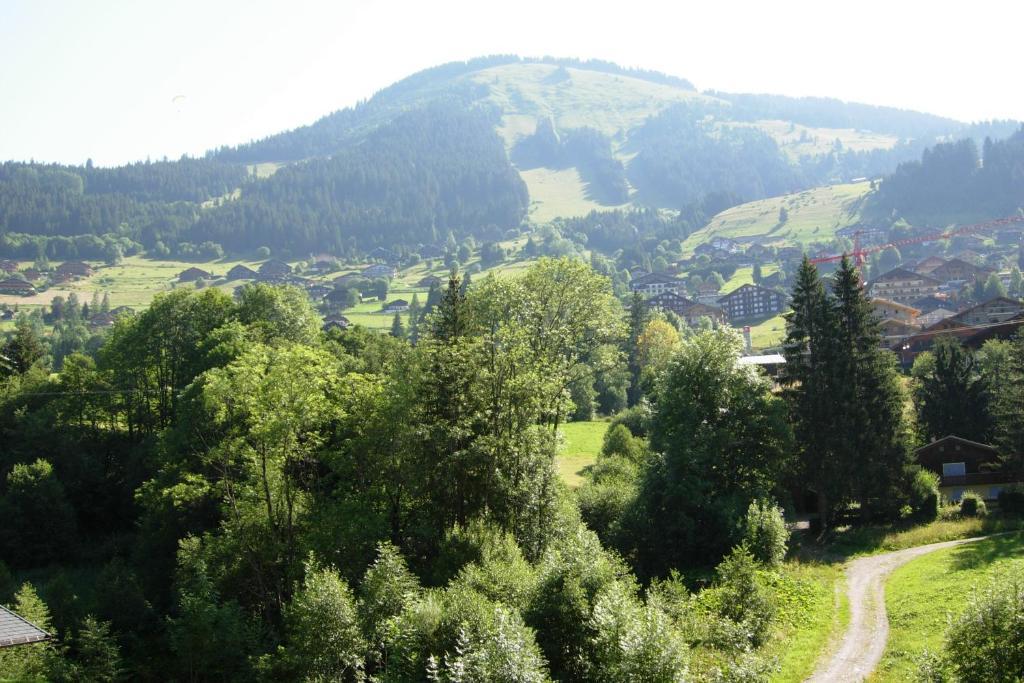 Au Bois De Lune Châtel Exteriör bild